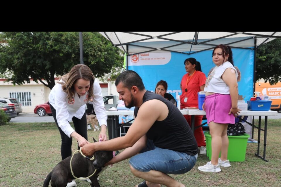 Disfrutan en Guadalupe mascotas y dueños de una Caminata Perrona