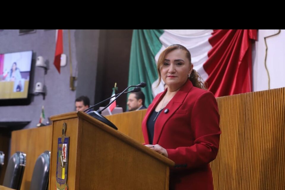 EXIGE MYRNA GRIMALDO REFORZAR VIGILANCIA EN TRANSPORTE PÚBLICO